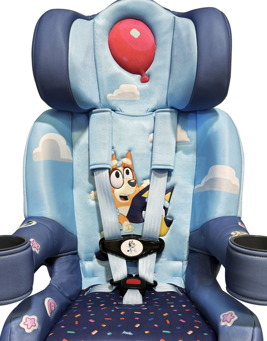 Seat Cover