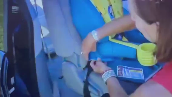 PAW Patrol Chase  2-in-1 Car Seat